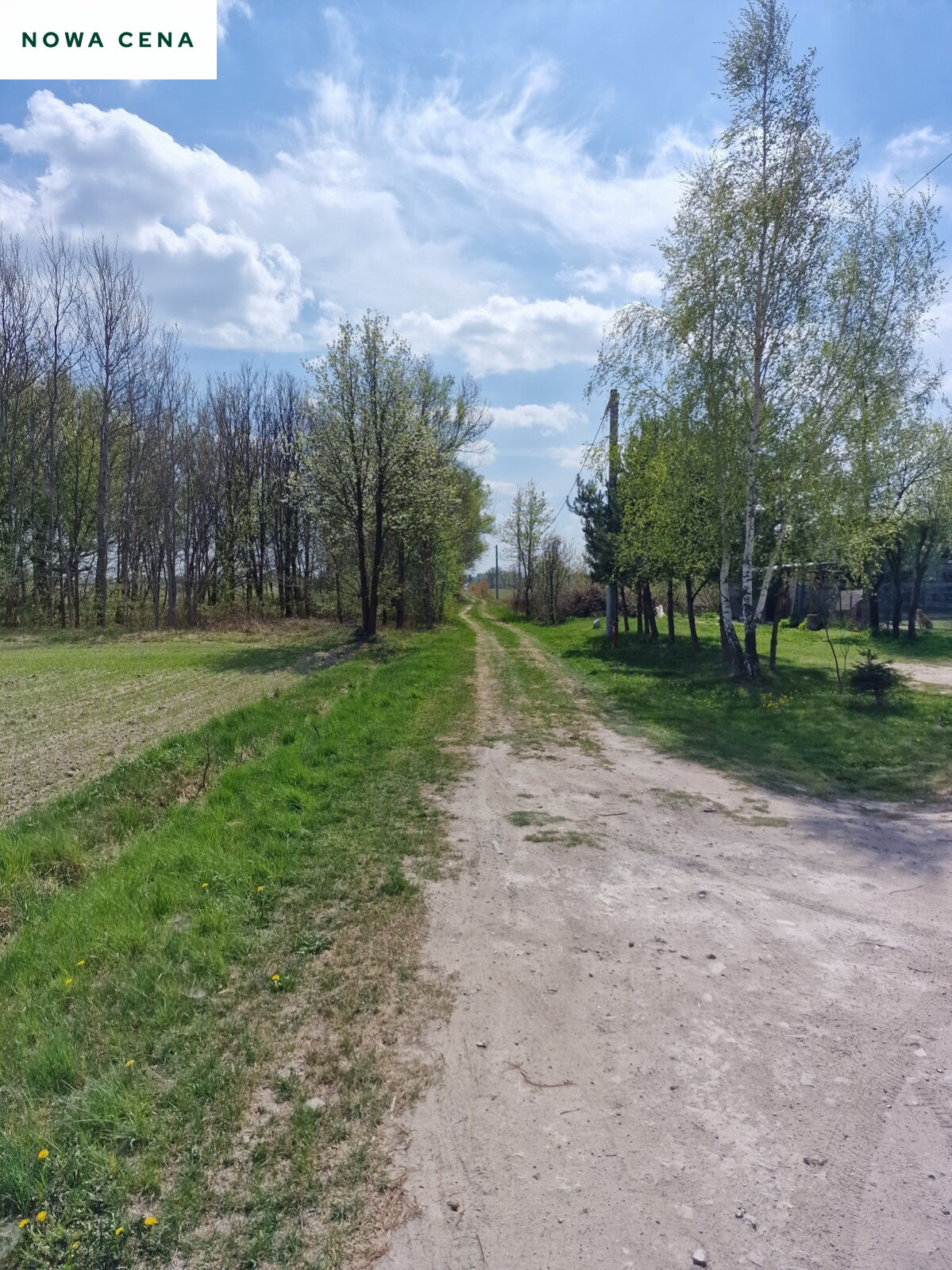 Działka Sprzedaż Celinów