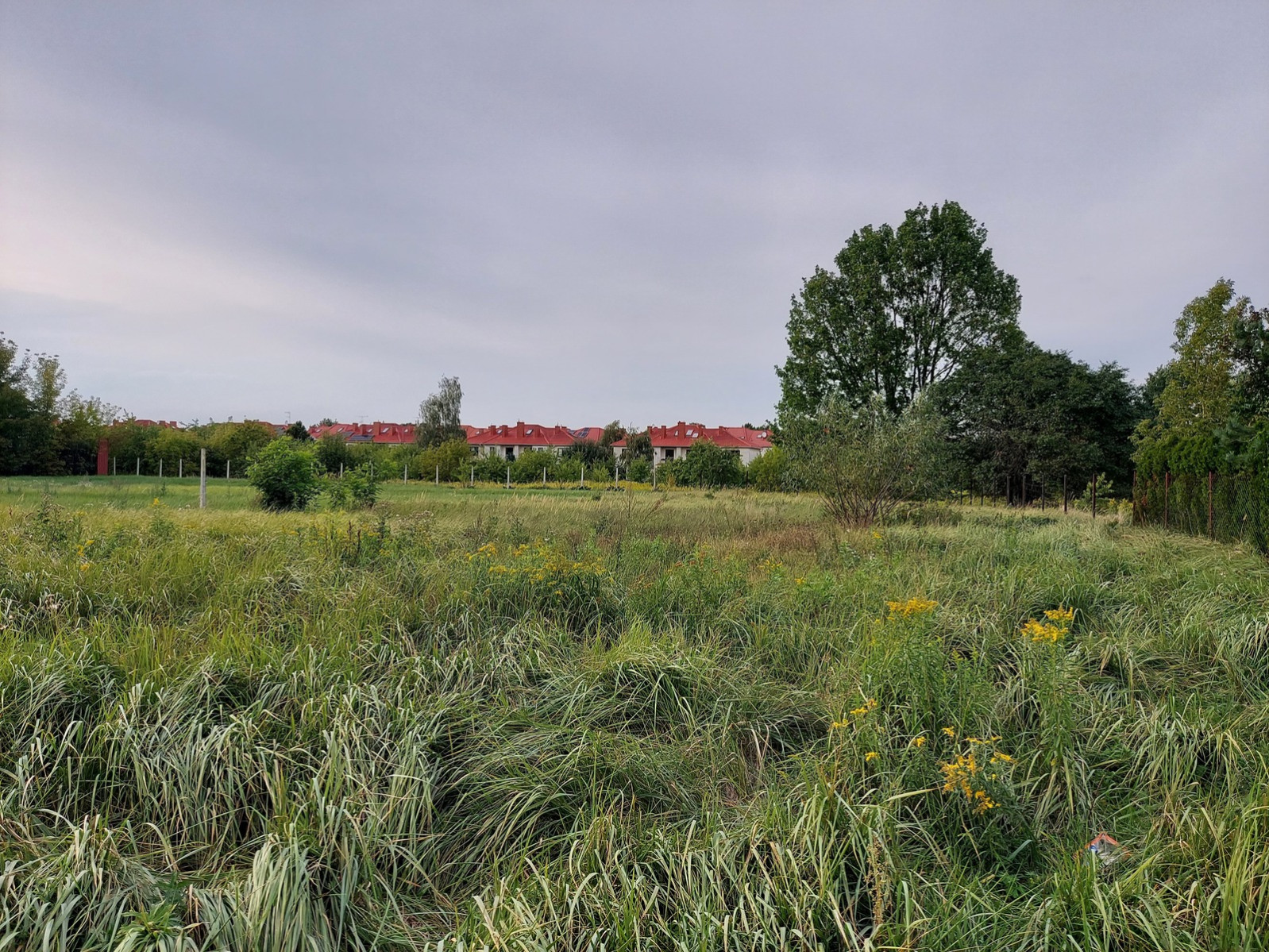 Działka Sprzedaż Warszawa Wawer Przewodowa