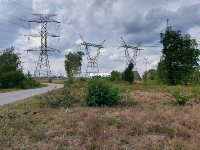 Działka Wynajem Nowy Konik 5