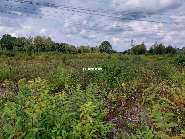 Plot Sale Nowy Konik 1