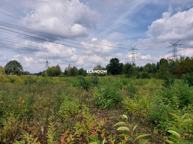 Plot Sale Nowy Konik 2