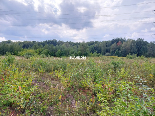 Plot Sale Nowy Konik 3