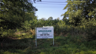 Działka Sprzedaż Lipowo