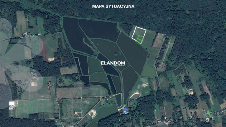 Plot Sale Grzegorzewice 5