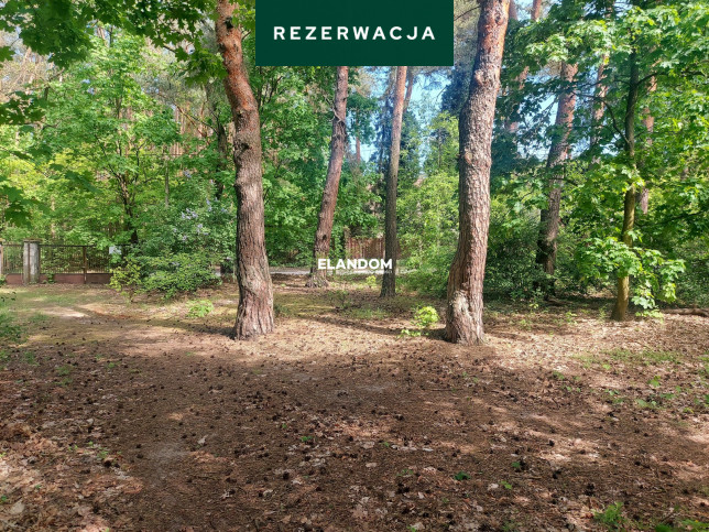 Plot Sale Józefów 1