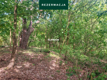 Działka Sprzedaż Józefów