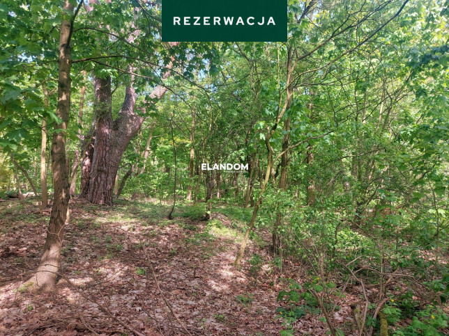 Plot Sale Józefów 2