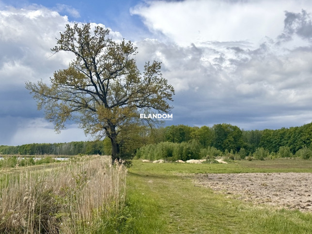 Plot Sale Grzegorzewice 1