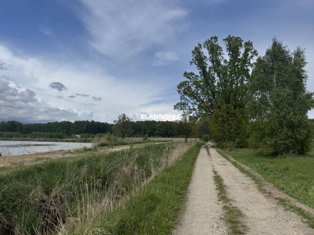 Plot Sale Grzegorzewice 5