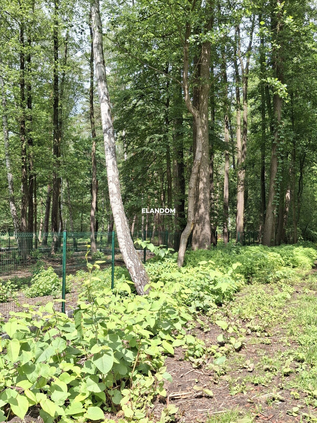 Działka Sprzedaż Warszawa Wawer Cementowa