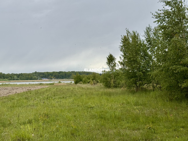 Plot Sale Grzegorzewice 3