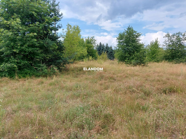 Plot Sale Warszawa Wawer 5