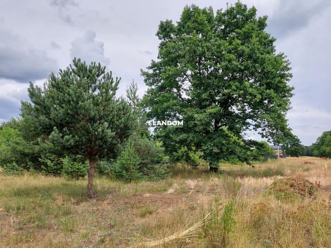 Plot Sale Warszawa Wawer 2