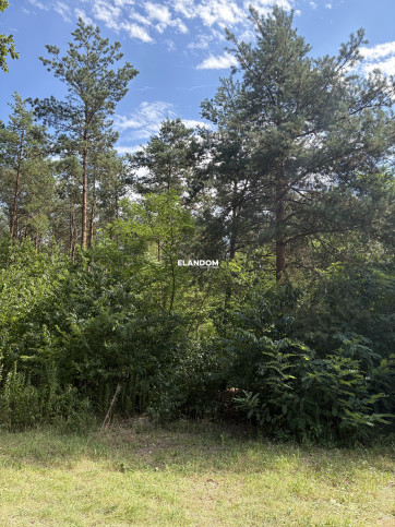 Plot Sale Józefów 1