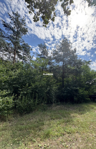 Plot Sale Józefów 2