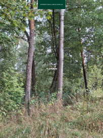 Działka Sprzedaż Wiązowna Kościelna Projektowana