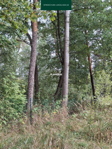 Działka Sprzedaż Wiązowna Kościelna Projektowana 4
