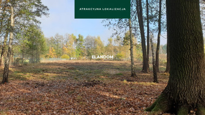 Działka Sprzedaż Wiązowna Kościelna Projektowana