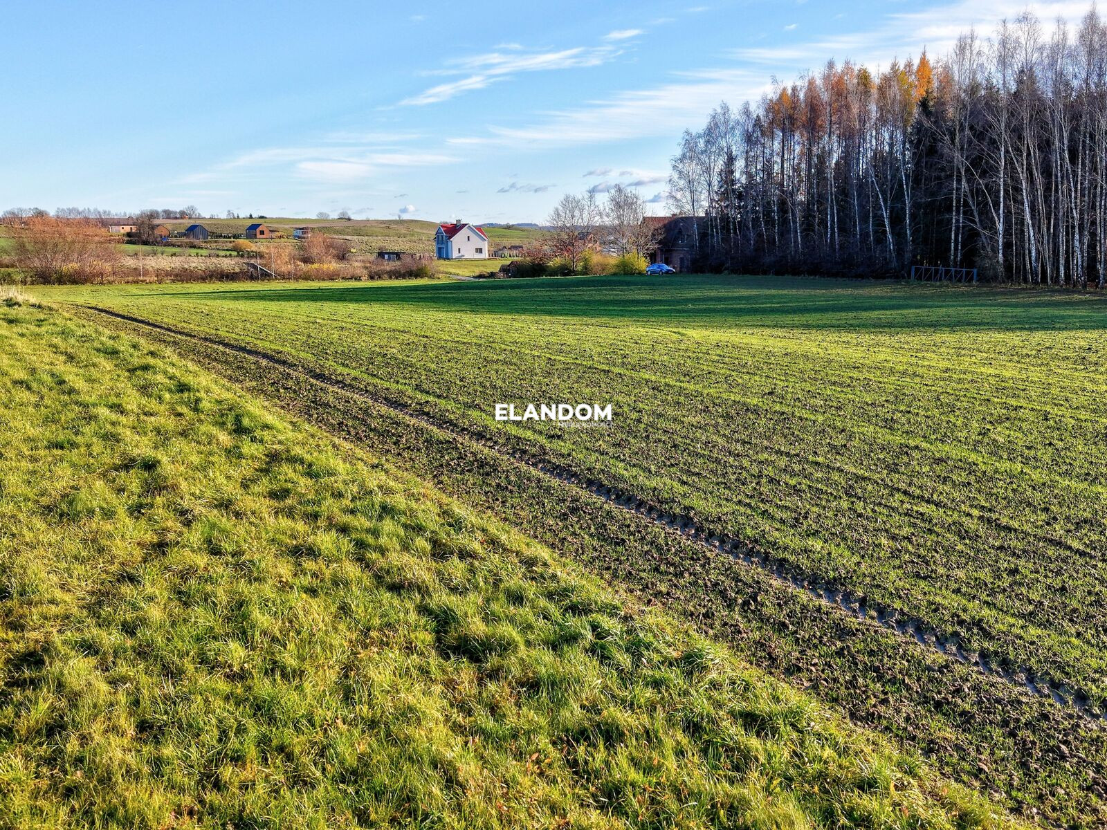 Działka Sprzedaż Blanki Blanki 46