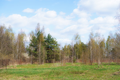 Działka Sprzedaż Uwieliny