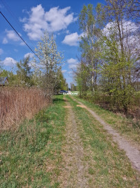 Działka Sprzedaż Celinów