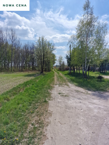 Działka Sprzedaż Celinów 2