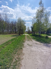 Działka Sprzedaż Celinów