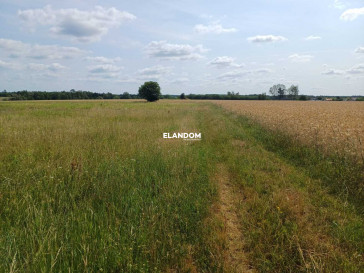 Działka Sprzedaż Nowa Wieś