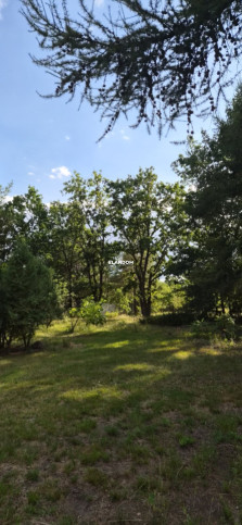 Plot Sale Józefów 4