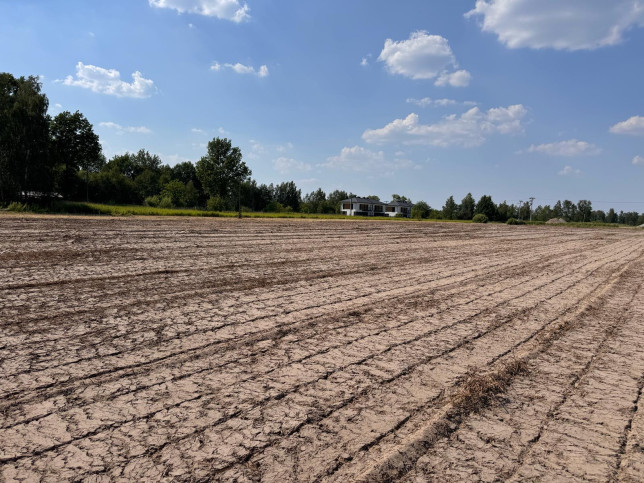 Działka Sprzedaż Duchnów 1