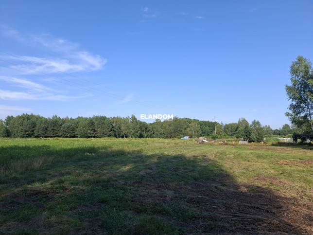 Plot Sale Stanisławów 3