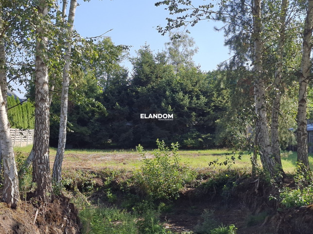 Plot Sale Stanisławów 2