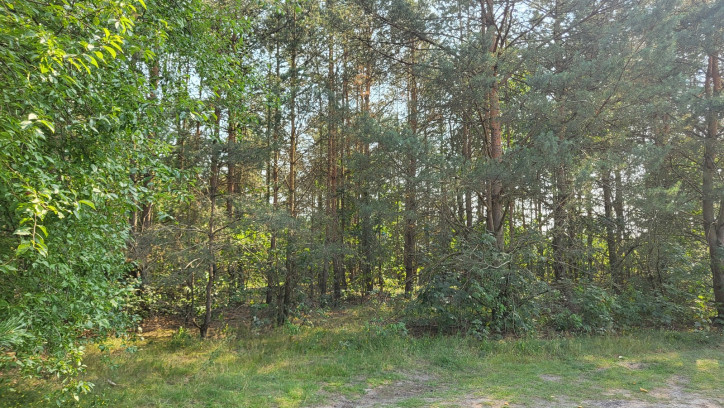 Działka Sprzedaż Warszawa 1