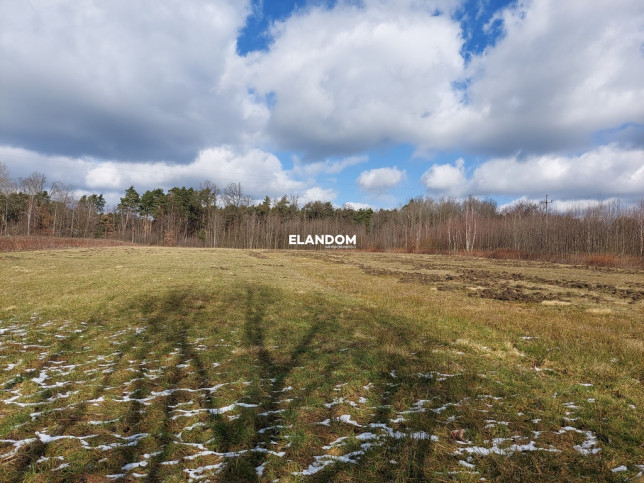 Plot Sale Celestynów 4