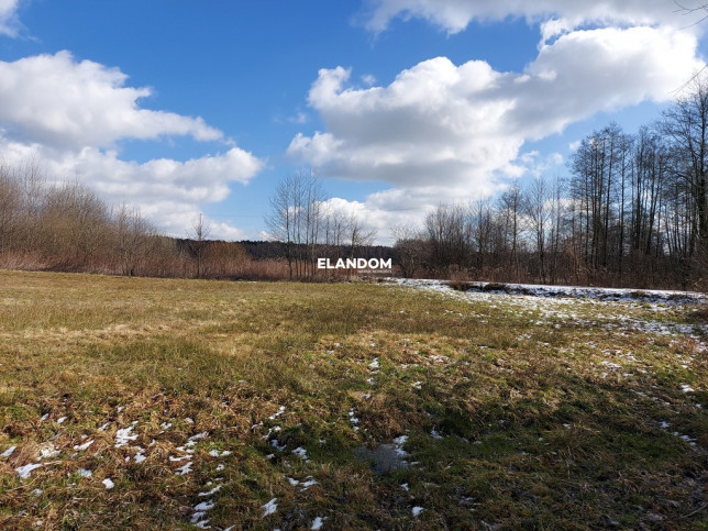 Plot Sale Celestynów 6