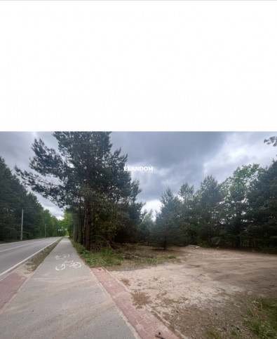 Plot Sale Dziechciniec 9