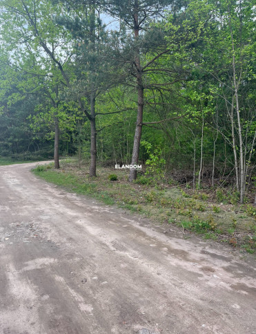 Plot Sale Dziechciniec 8