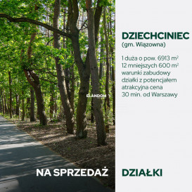 Działka Sprzedaż Dziechciniec