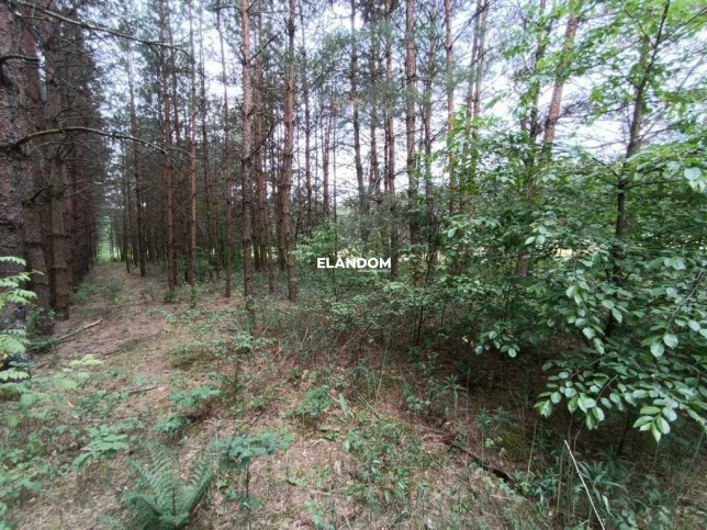 Ділянка Продаж Kołbiel 5
