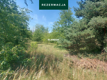 Działka Sprzedaż Józefów