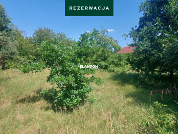 Działka Sprzedaż Józefów